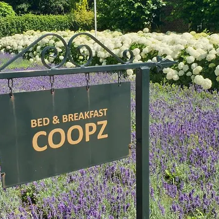 Coopz Panzió Doetinchem