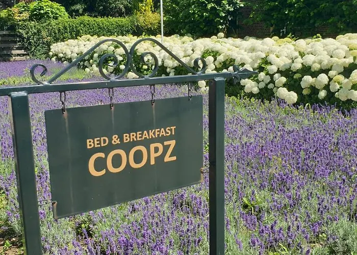 Coopz Panzió Doetinchem